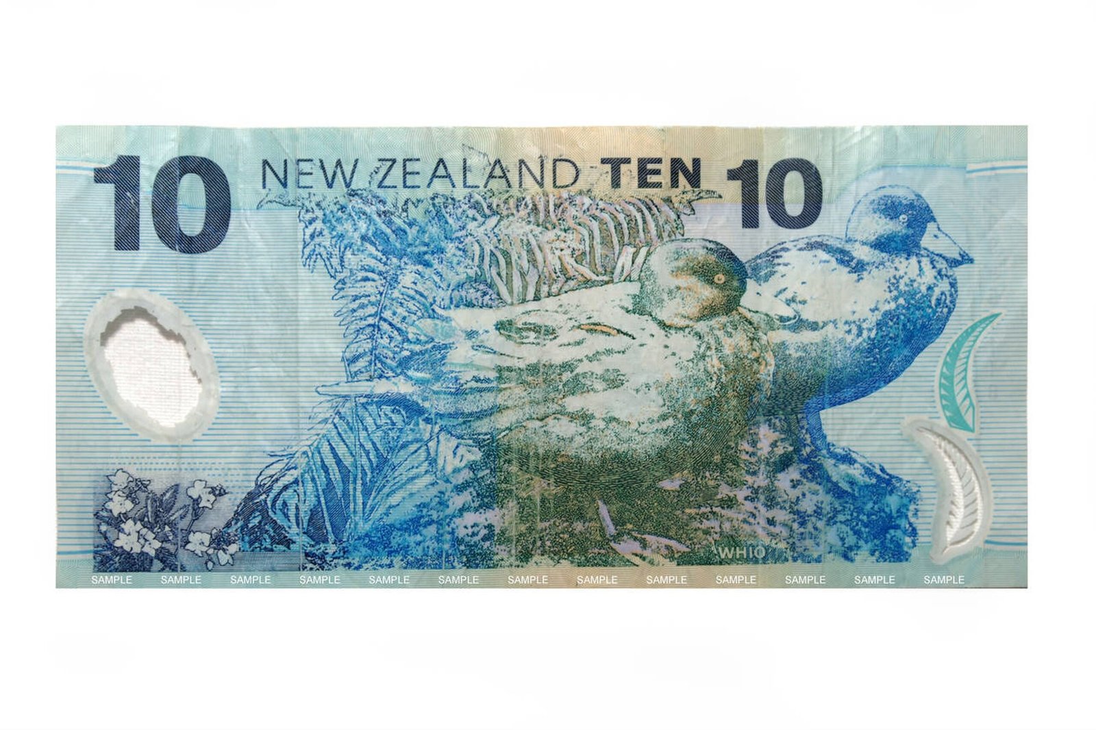 10 New Zealand dollar bills - Image 2