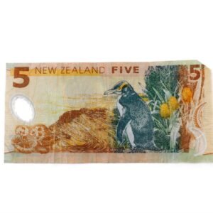 Alternative view of 5 New Zealand dollar bills