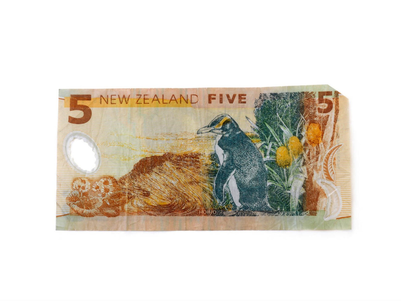 5 New Zealand dollar bills - Image 2