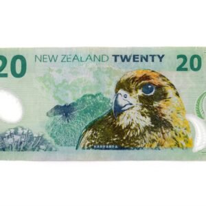 Alternative view of 20 New zealand dollar bills