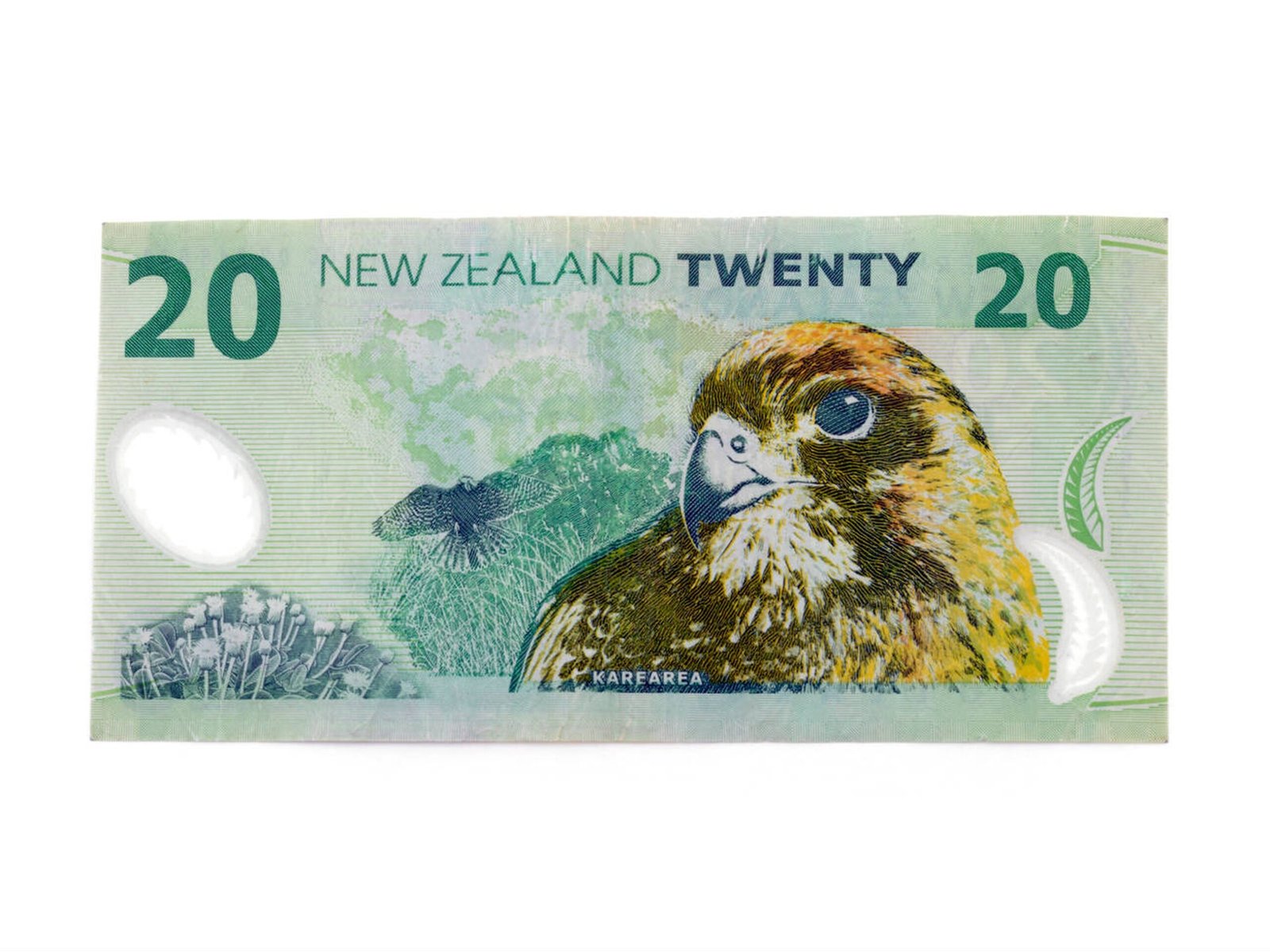 20 New zealand dollar bills - Image 2