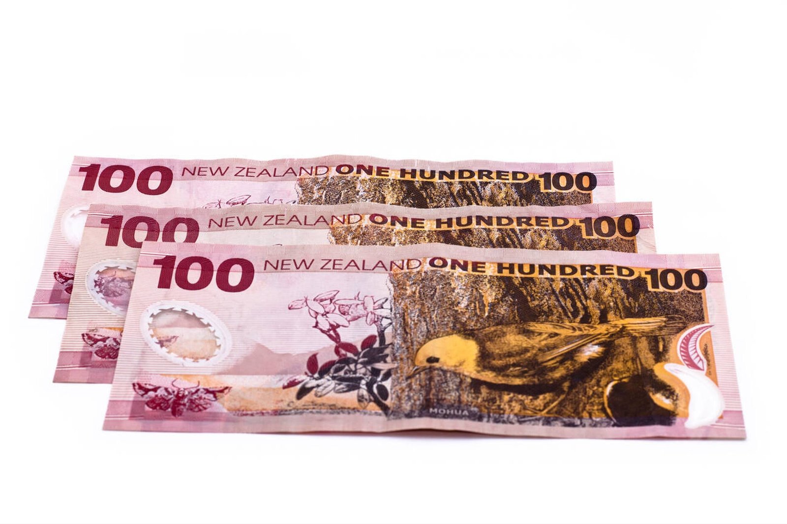 100 New zealand dollar bills